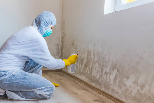 Licensed Commercial Mold Remediation service in Camden, NJ - 24 Hour Mold Removal