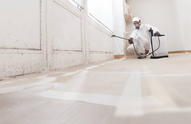 24/7 Emergency Commercial Mold Remediation experts in Camden, NJ