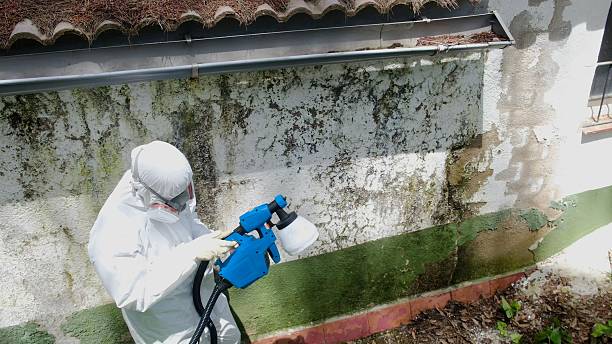 Top rated local Commercial Mold Remediation specialists in Camden, NJ